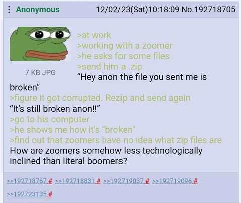 Zoomer Doesn't Understand ZIP Files