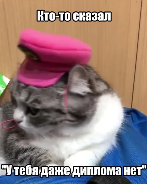 Когда голова работает
