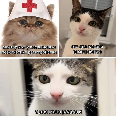 Для меня радости