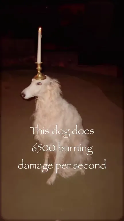Dog Deals 6500 Burning Damage