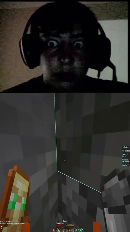 Шокированная реакция на Minecraft