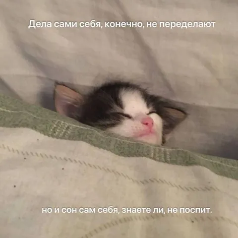 Дела сами себя не переделают