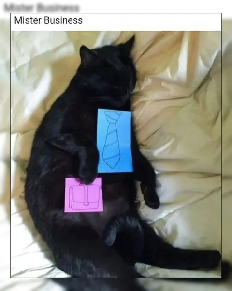 Mister Business Cat