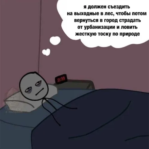 Тоска по природе после поездки