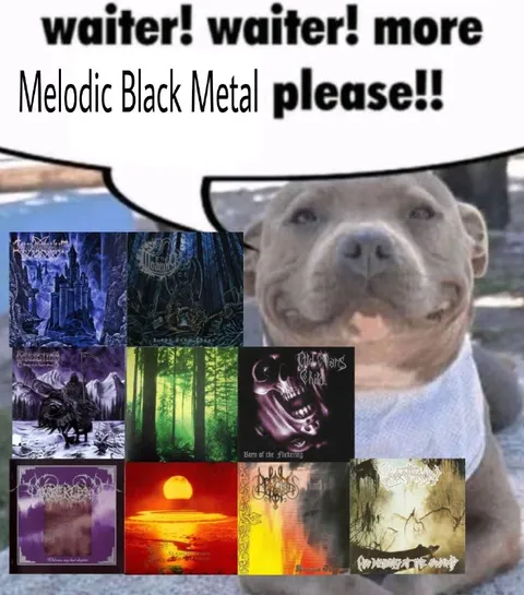 Waiter, More Melodic Black Metal
