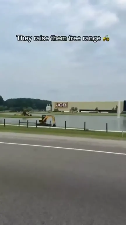 Free-Range Excavators