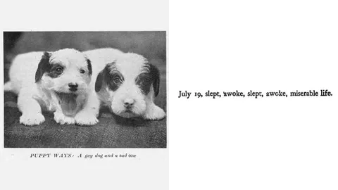 Puppy Ways Miserable Life