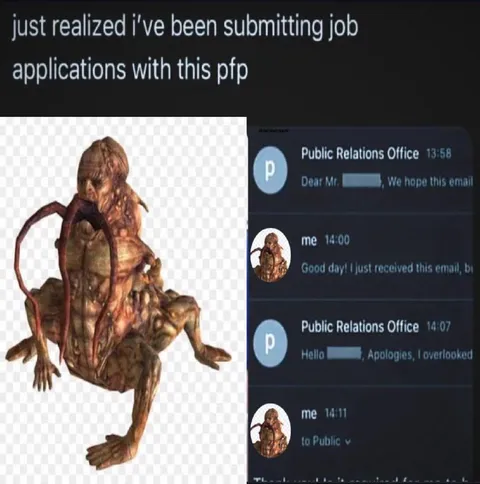 Job Applications With a Horrible PFP
