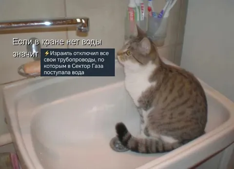 Кот ждёт воду из крана