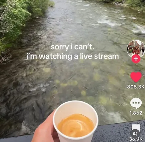 Watching a Live Stream