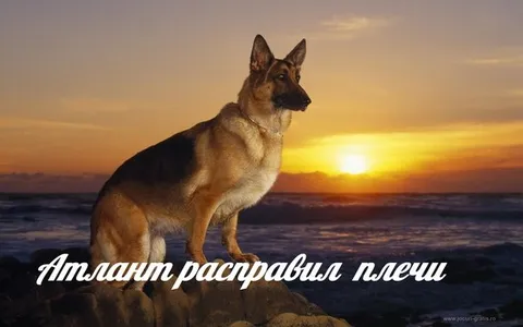 Атлант расправил плечи