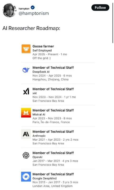 AI Researcher Roadmap to Goose Farmer