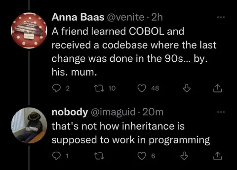 COBOL Inheritance Misunderstanding