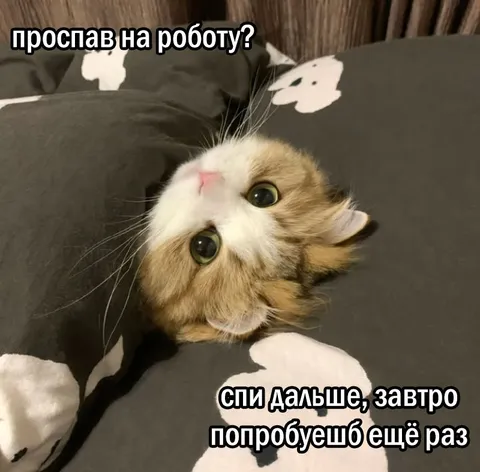 Проспал на работу