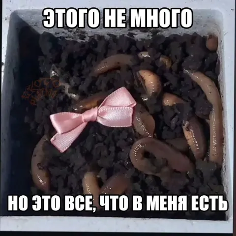 Это всё, что в меня есть