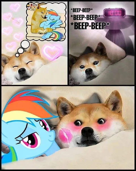 Shiba Inu Dreams of Rainbow Dash