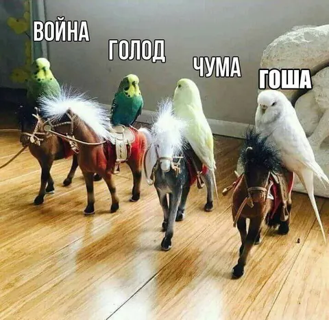 Четыре попугая на конях