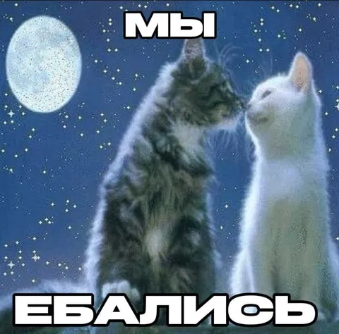 Мы ебались под луной