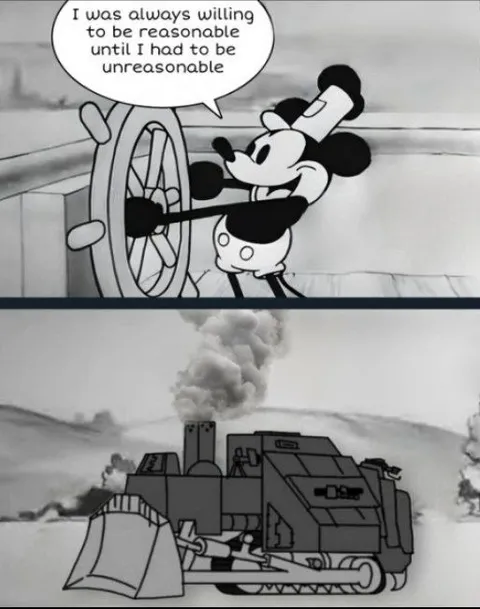 Mickey Chooses Unreasonable Force