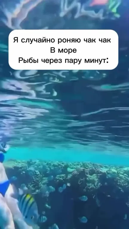 Рыбы после чак-чака