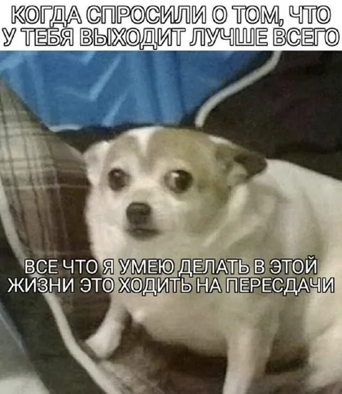 Хождение на пересдачи