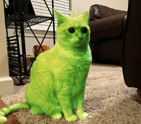 Зелёный кот-инопланетянин