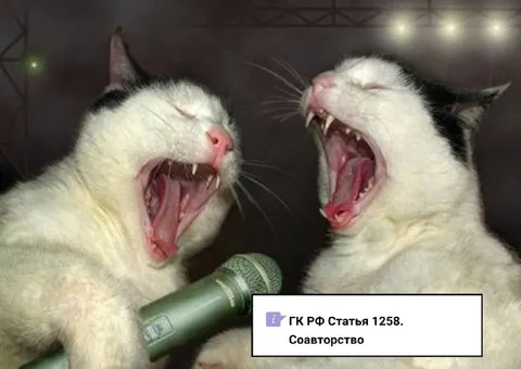 Коты поют о соавторстве