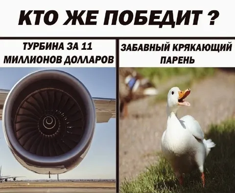 Турбина против крякающего парня