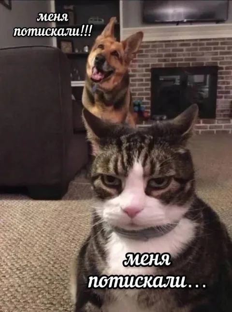 Меня потискали, а меня нет