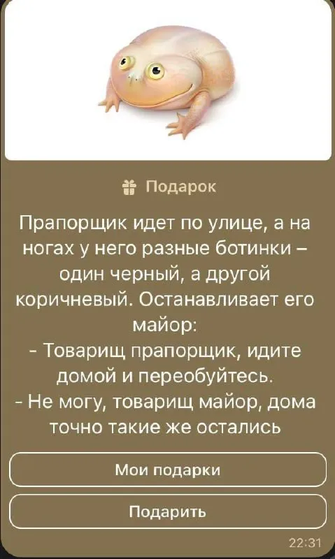 Прапорщик в разных ботинках