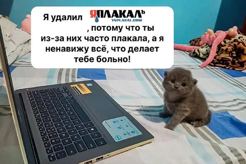Кот удалил всё болезненное