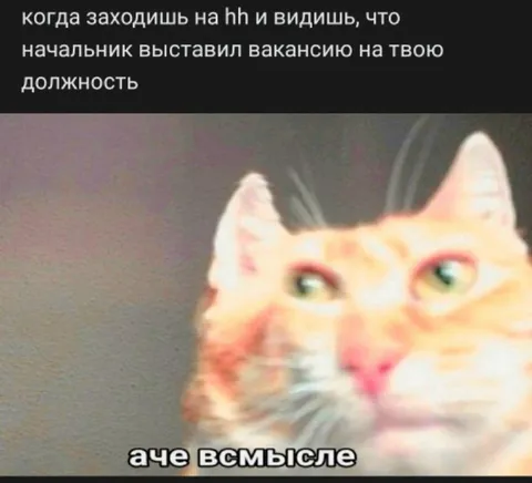 Начальник ищет замену