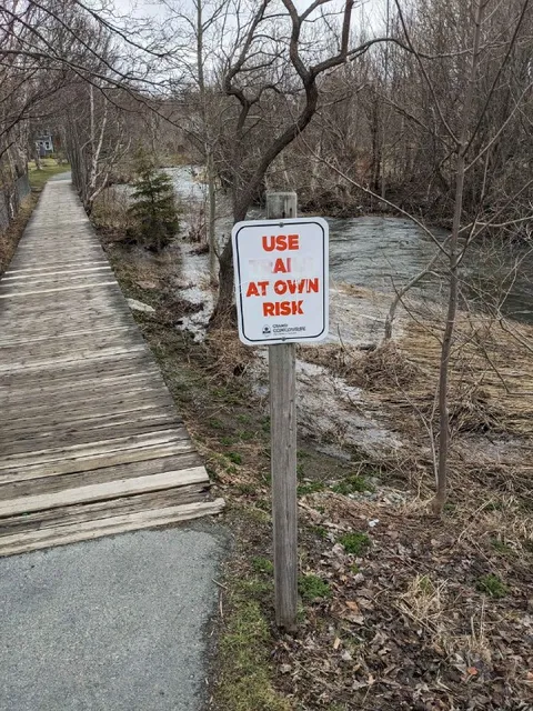Use AI at Own Risk