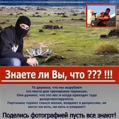 Партизаны теряются без деревьев
