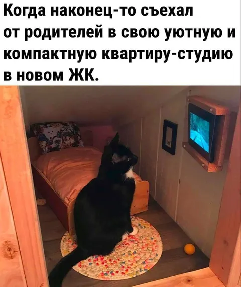 Квартира-студия после родителей
