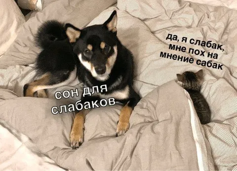 Сон для слабаков