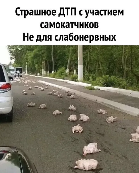 Страшное ДТП с самокатчиками