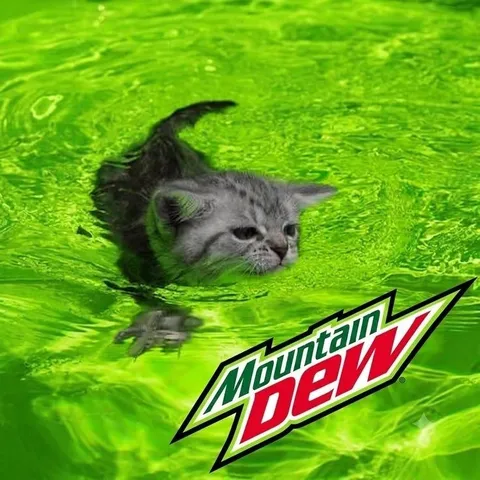 Кот в Mountain Dew