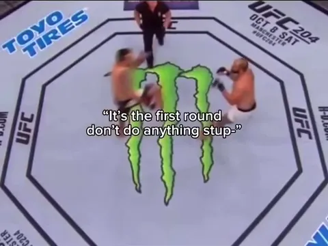 First Round, Nothing Stupid