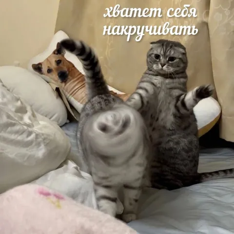 Хватет себя накручивать