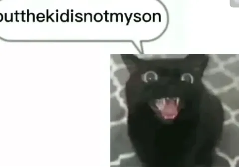 Black Cat Says the Kid Is Not Mine