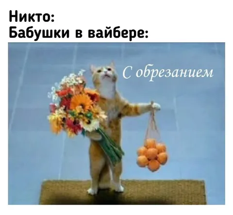 Бабушки в вайбере