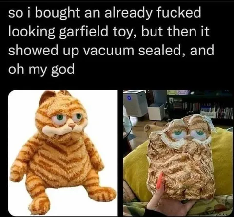 Vacuum-Sealed Garfield Toy