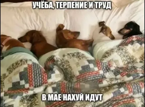 Учёба, терпение и труд