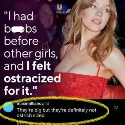Not Ostrich Sized
