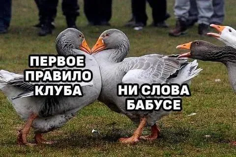 Первое правило клуба — ни слова бабусе