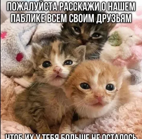 Расскажи о паблике друзьям