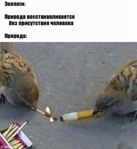 Природа восстанавливается без человека