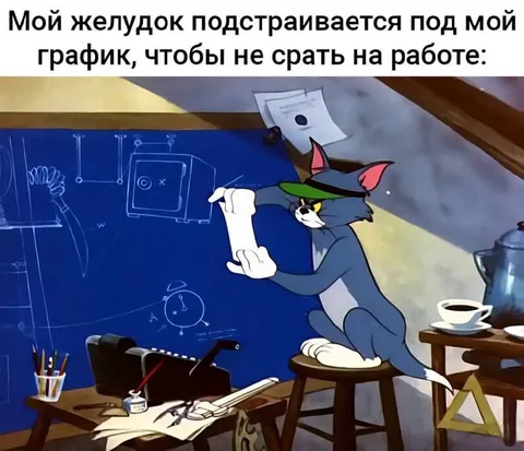 Желудок подстраивается под график