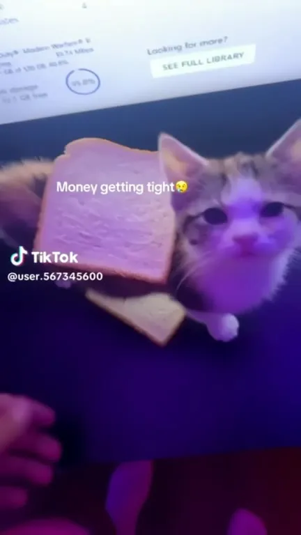 Money Getting Tight Cat